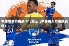中超联赛泰山到河北赛区（中超山东泰山队赛程）