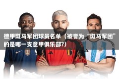 德甲斑马军团球员名单（被誉为“斑马军团”的是哪一支意甲俱乐部?）