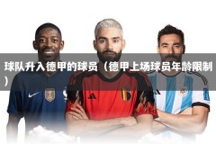 球队升入德甲的球员（德甲上场球员年龄限制）