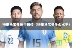 格里马尔多德甲最佳（格里马尔多什么水平）