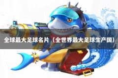 全球最大足球名片（全世界最大足球生产国）
