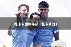 扎卡去德甲年薪（扎卡身价）