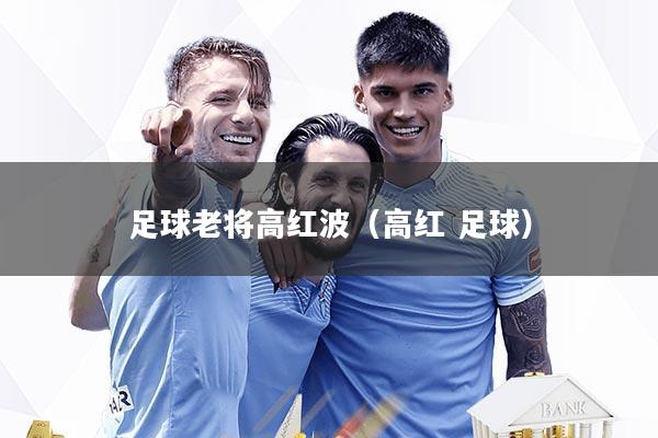 足球老将高红波(高红 足球)