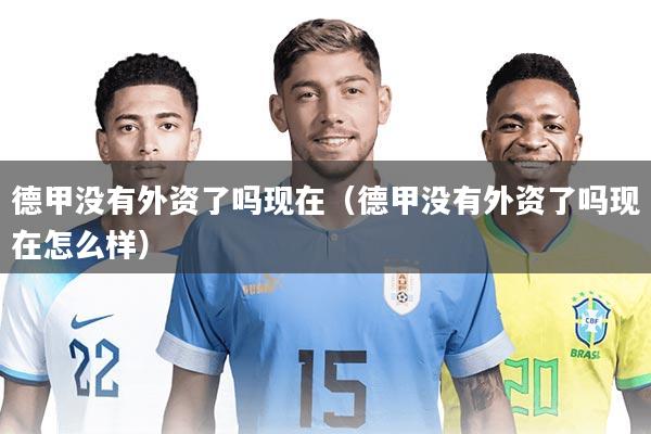 德甲没有外资了吗现在(德甲没有外资了吗现在怎么样)