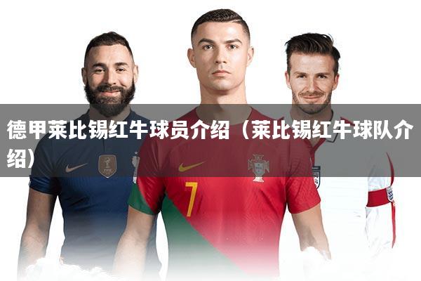 德甲莱比锡红牛球员介绍(莱比锡红牛球队介绍)