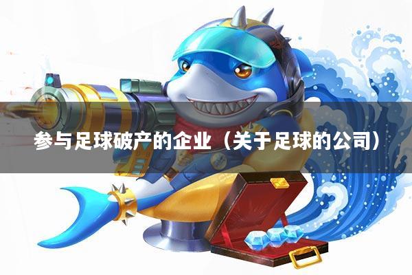 参与足球破产的企业(关于足球的公司)