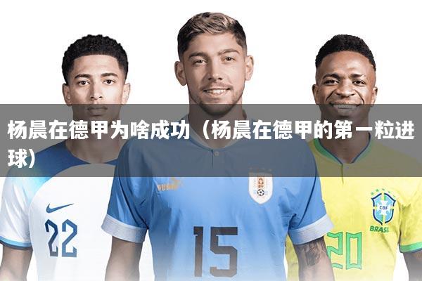 杨晨在德甲为啥成功(杨晨在德甲的第一粒进球)