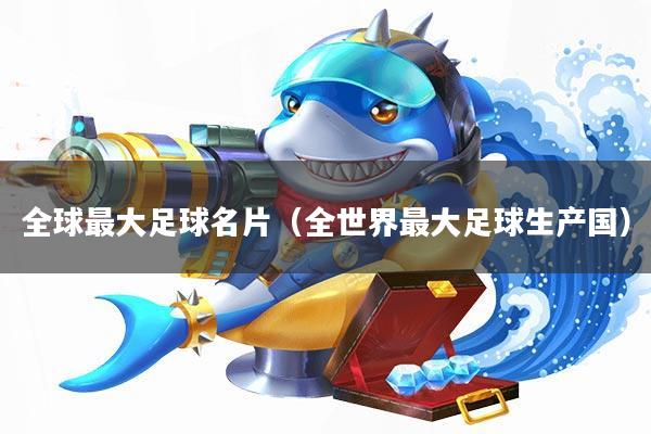 全球最大足球名片(全世界最大足球生产国)