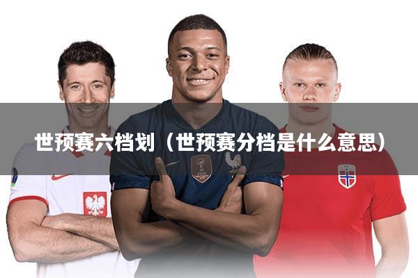 世预赛六档划(世预赛分档是什么意思)