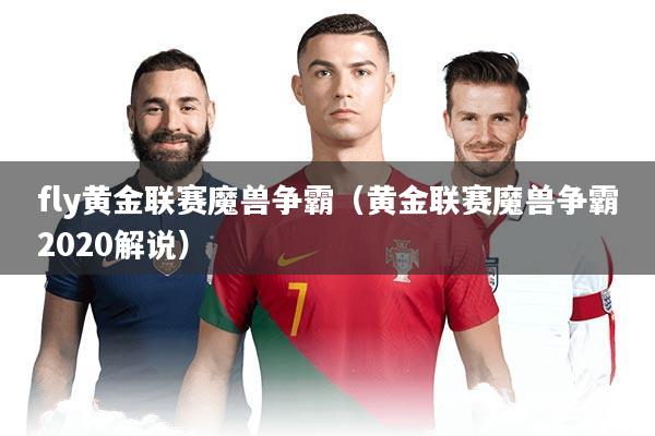 fly黄金联赛魔兽争霸(黄金联赛魔兽争霸2020解说)